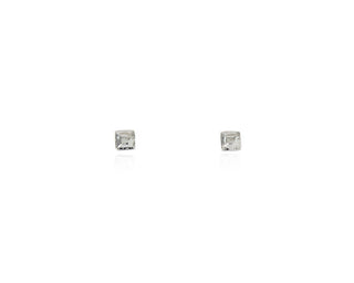 Rana Silver Earrings