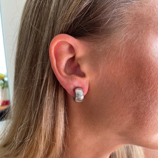 Robbin Silver Clip On Earrings