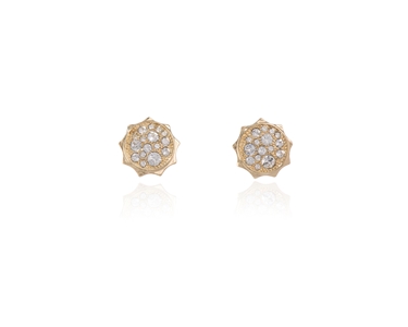 Crystal  Taigi Pierced Earrings  | Gold Crystal