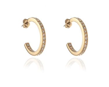 Crystal  Saga/L Pierced Earrings  | Gold Crystal